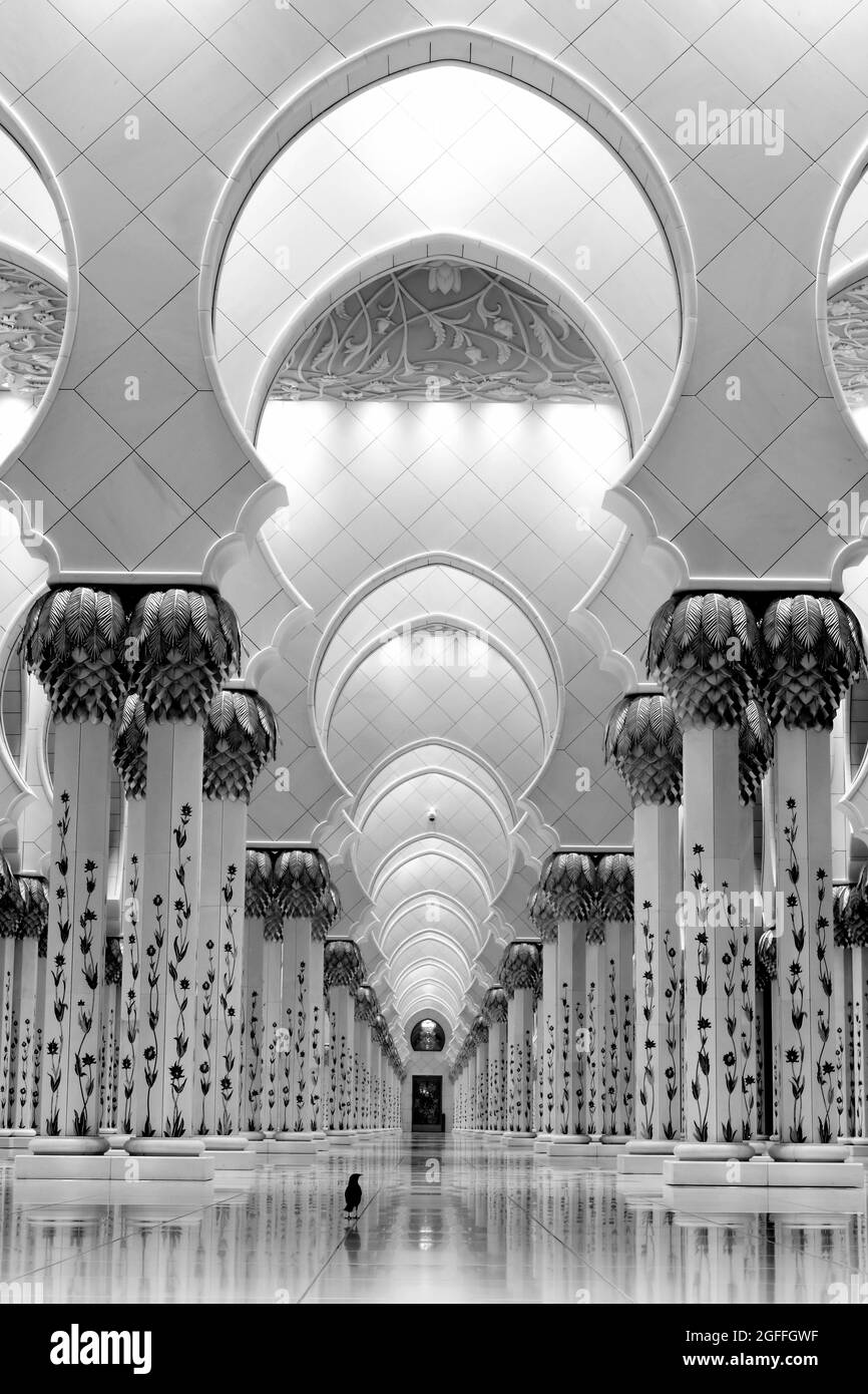 Innenraum der Sheikh Zayed Moschee in Abu Dhabi, Vereinigte Arabische Emirate, Naher Osten Stockfoto