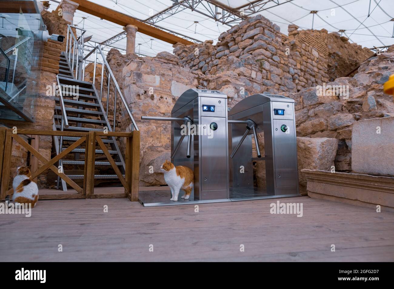 Selcuk, Izmir, Türkei - 03.09.2021: Drehkreuze und Katzen in der Nähe von Terrassenhäusern Restaurierungsstelle in Ephesus Ruinen, historische antike römische Archäologen Stockfoto