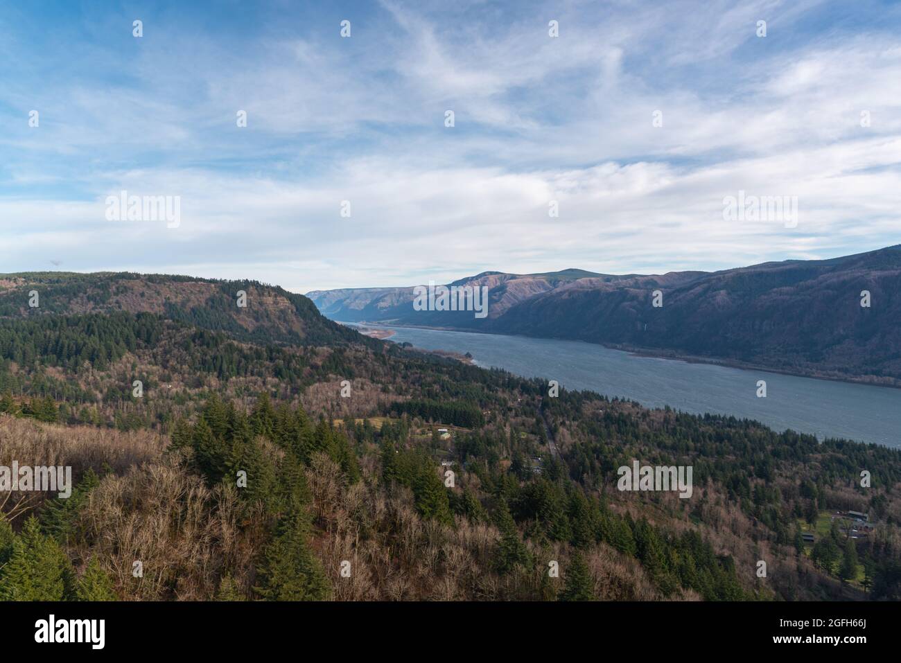 Erhöhte Wanderaussichten auf die majestätische Columbia River Gorge vom Cape Horn Trail, Washington State, Pacific Northwest Stockfoto