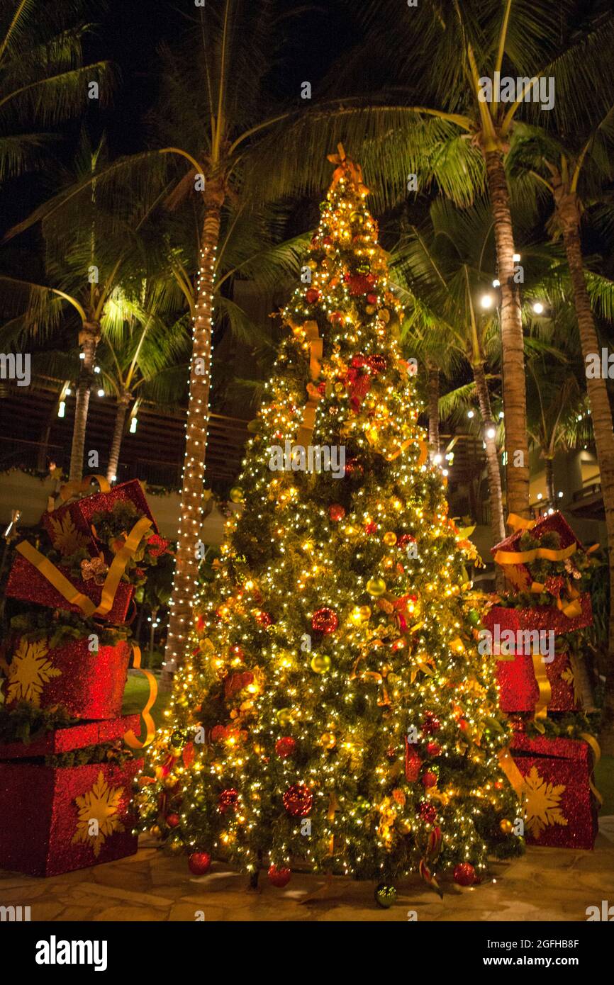 Honolulu, HI, USA, November 2007. Geschmückter Weihnachtsbaum in Waikiki, Hawaii. Stockfoto