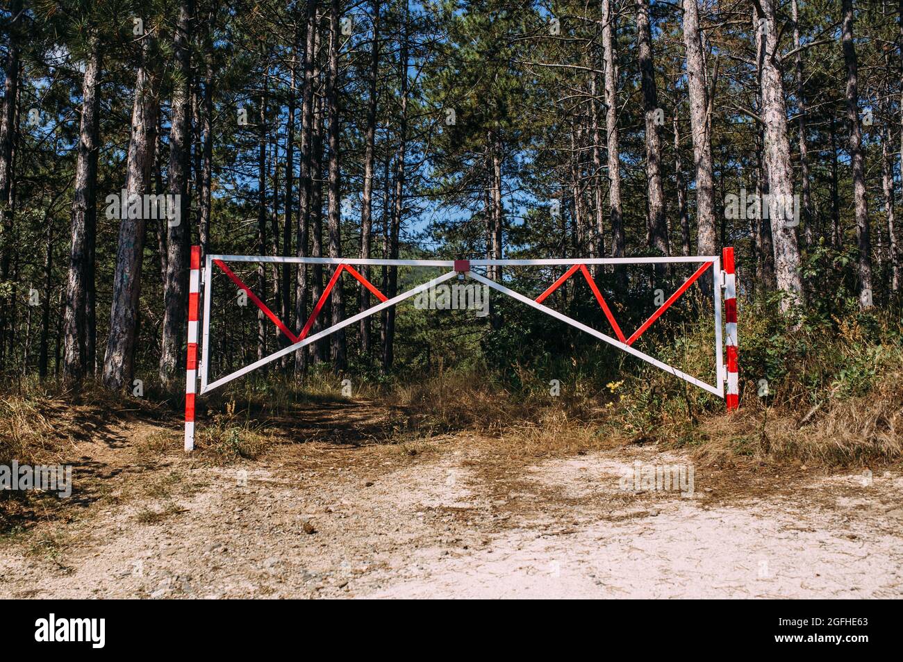 Barriere, die den Eintritt in einen schönen Pinienwald in einen privaten Bereich verbietet Stockfoto