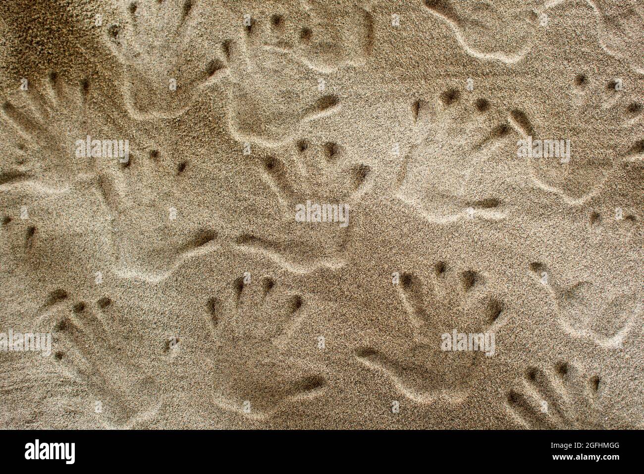 Serie von Handdrucken, die im Sommer auf den Sand gedruckt werden Stockfoto