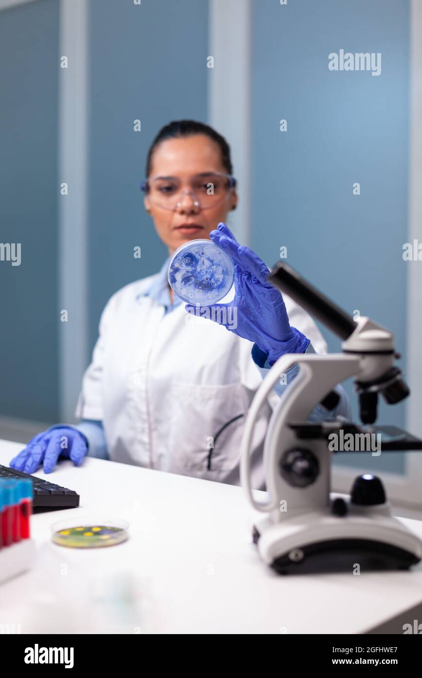 Wissenschaftlerin Frau analysiert Petrischale mit Mikroorganismen Bakterien in mikrobiologischen Chemie Krankenhaus Labor. Biologe Forscher arbeiten an Biochemie Untersuchung Mikrotiterplatte Stockfoto