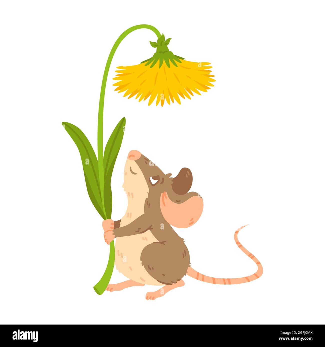 Kleine Waldmaus hält den Dandelion. Wiesenwühlmaus mit Blume. Ratte hält Blüte. Vektorzeichen isolierte Illustration auf weißem Hintergrund. Stock Vektor