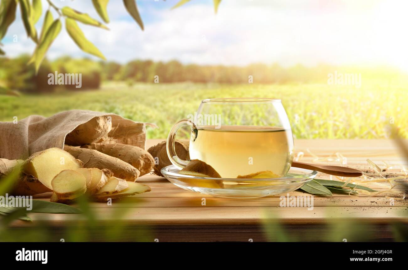 Bio-Ingwer-Infusion auf Holztisch in der Natur mit Wurzelginger, Blättern, Stroh und Erde. Vorderansicht. Stockfoto