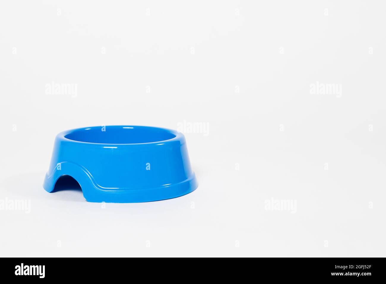 Leere blaue Futterplatte für Tierfutter auf weißem Hintergrund isolieren mit Platz für Text für den Tierladen Stockfoto