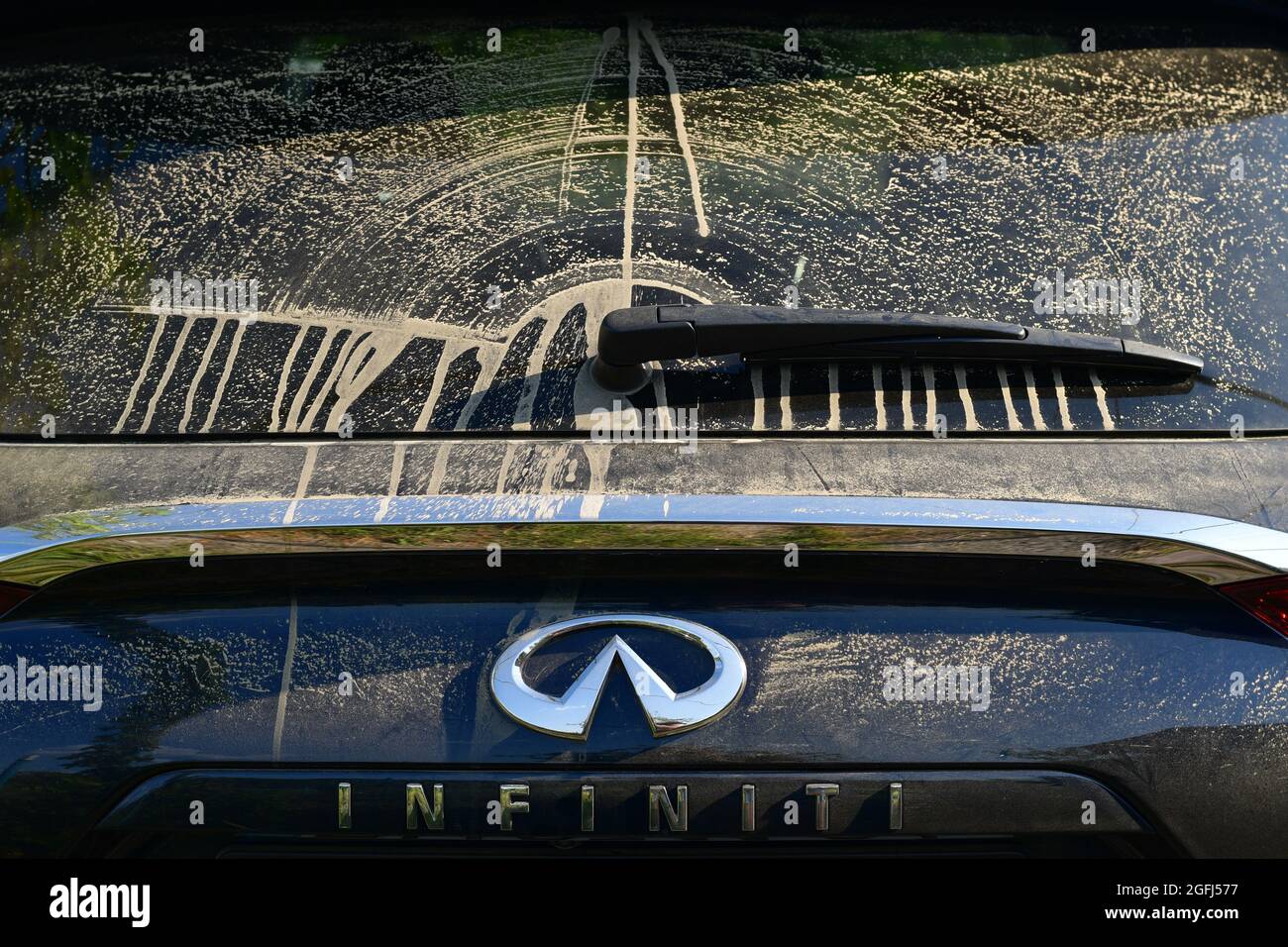 Infiniti QX50 Heckscheibenwischer vor dem Entfernen von Staub und Schmutz von der Heckscheibe nach der Geländefahrt. Schmutziges Glasfenster des Luxus-Crossover-SUV Infinit Stockfoto