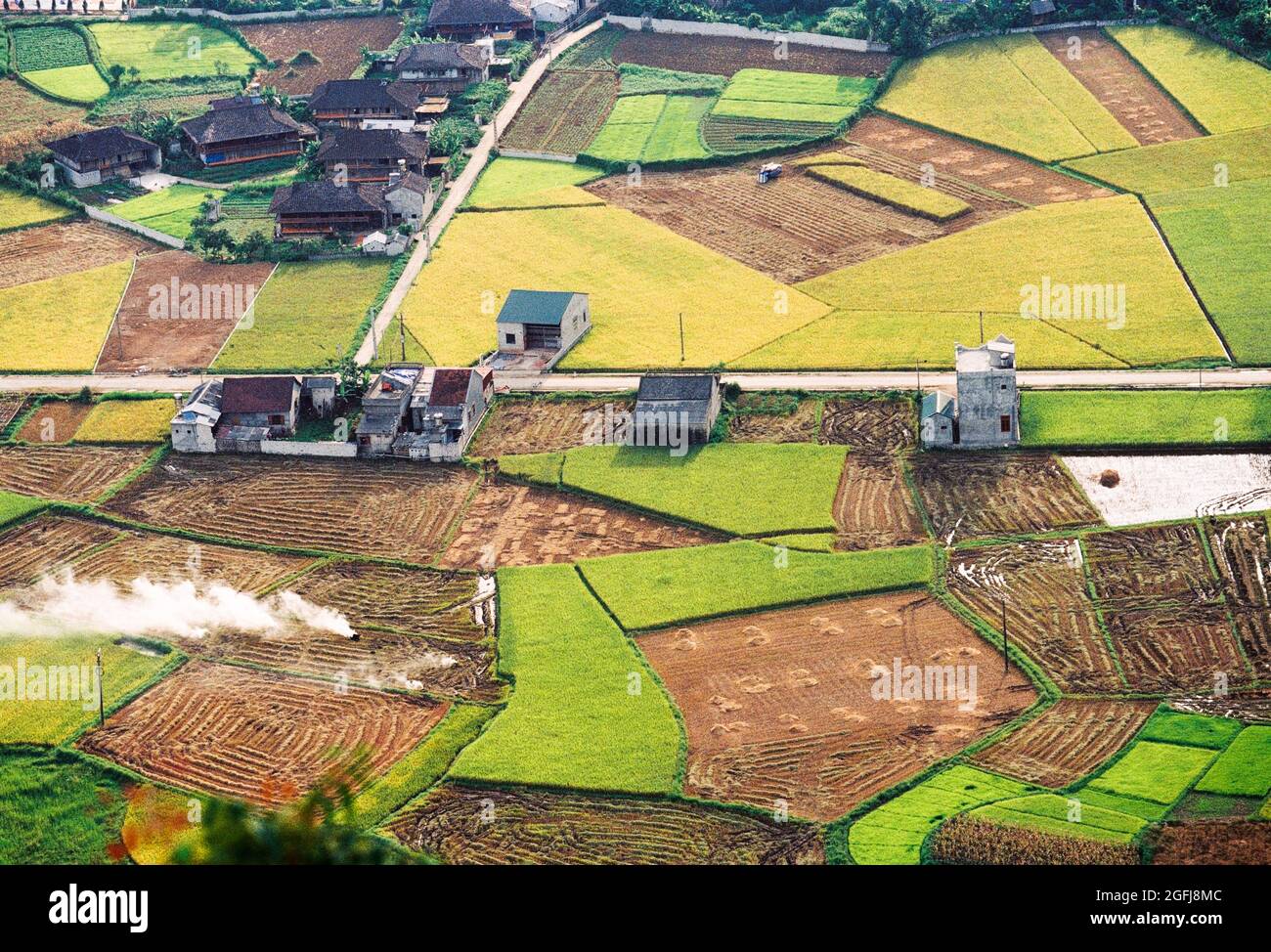 BAC Son Valley Reisfeld in der Erntezeit, Provinz lang Son, Vietnam Stockfoto