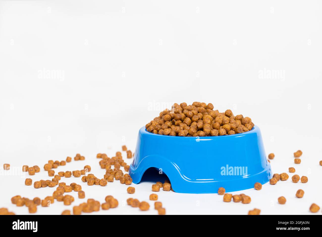 Blaue Futterplatte für Tierfutter auf weißem Hintergrund isoliert mit Platz für Text für den Tierladen. Das Essen ist auf dem Tisch verstreut. Stockfoto