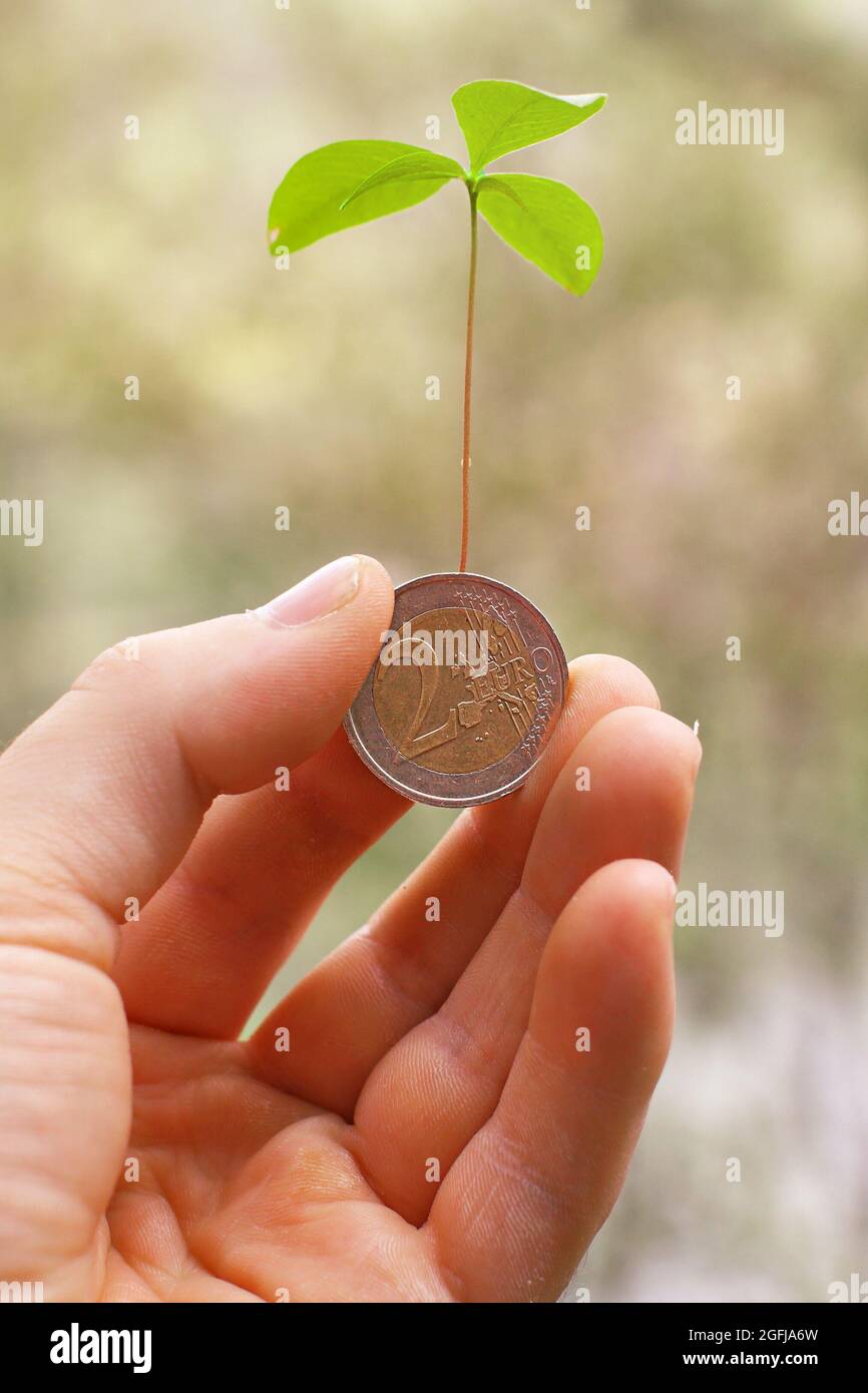 Pflanze wächst aus Münze. Münze in der Hand gehalten. Euro-Münze. Grüne  Wirtschaft Stockfotografie - Alamy