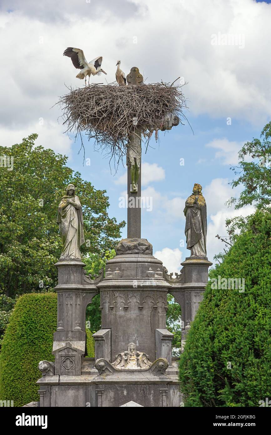 Zwei Störche, die ihr Nest über dem Kreuz Jesu auf dem Friedhof in Muizen bei Mechelen anordnen Stockfoto