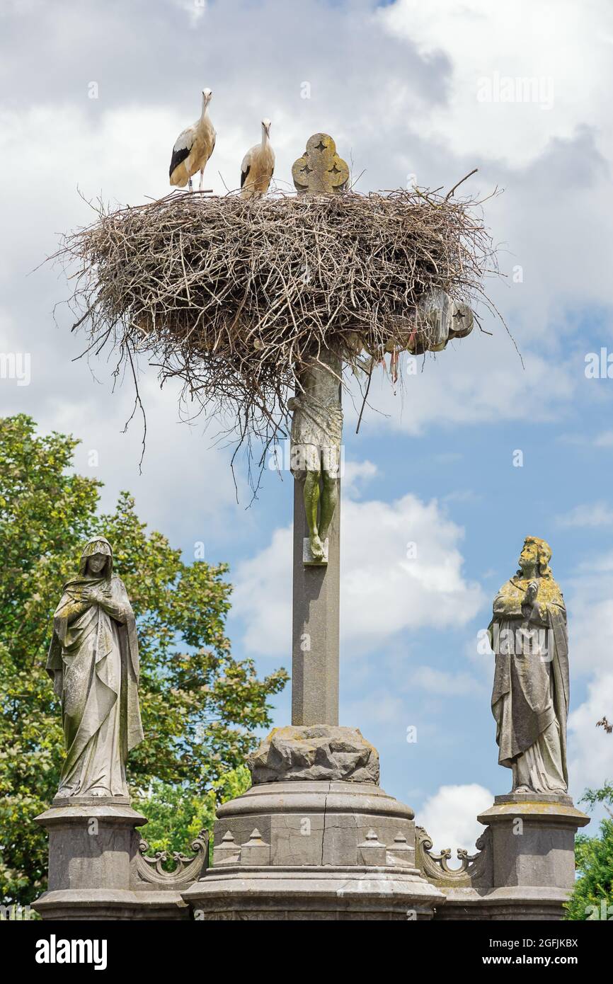 Zwei Störche, die von ihrem Nest über Jesu Kreuz auf dem Friedhof in Muizen bei Mechelen aus die Kamera anschauten Stockfoto