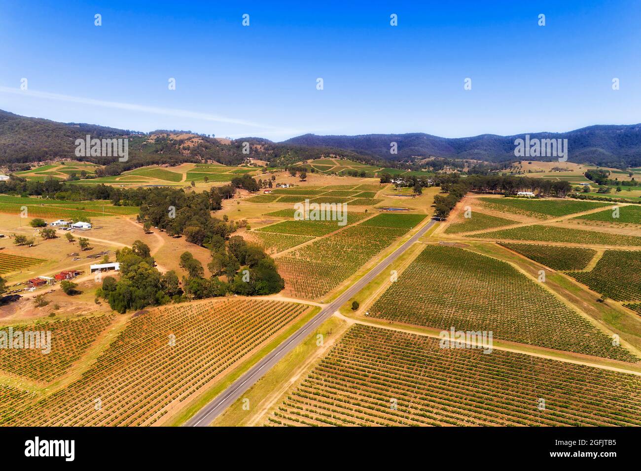 Pokolbin Weinanbaugebiet in der australischen Hunter Valley Region - berühmte Weingärten in landschaftlich reizvoller Luftlandschaft. Stockfoto