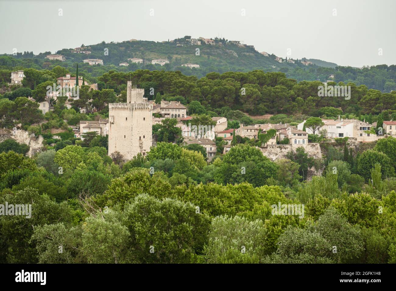 Blick auf eine Stadt inmitten eines grünen Waldes mit einem Turm. Stockfoto