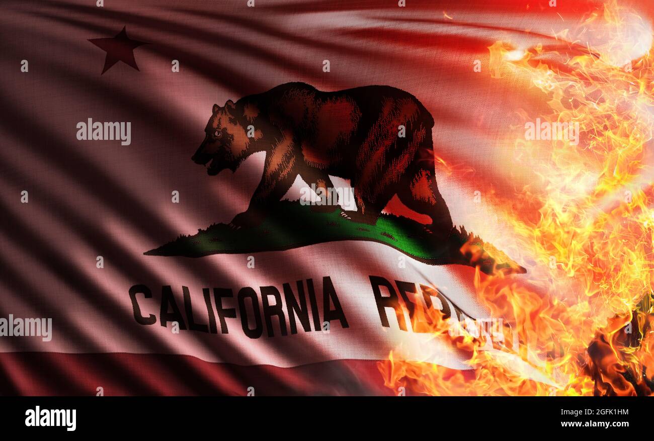 3D-Illustration der Flagge der California Republic oder Bear Flag Republic mit einem Grizzlybären, der von der globalen Erwärmung in den verwüsteten Wäldern bedroht ist und b Stockfoto