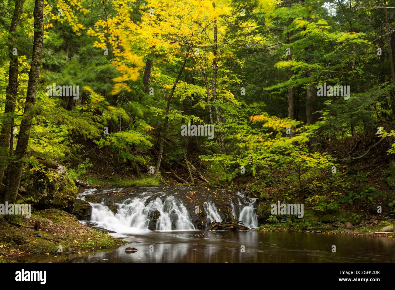 Greenstone Falls - EIN Wasserfall im Wald im Herbst. Stockfoto