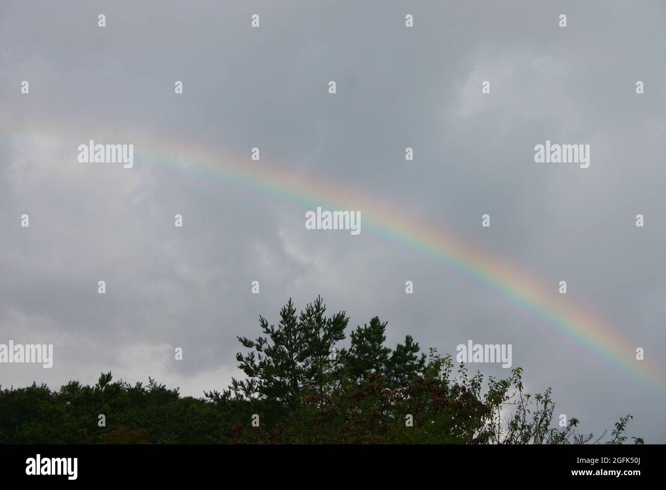 Abstimmungen mit Regenbogen Stockfoto