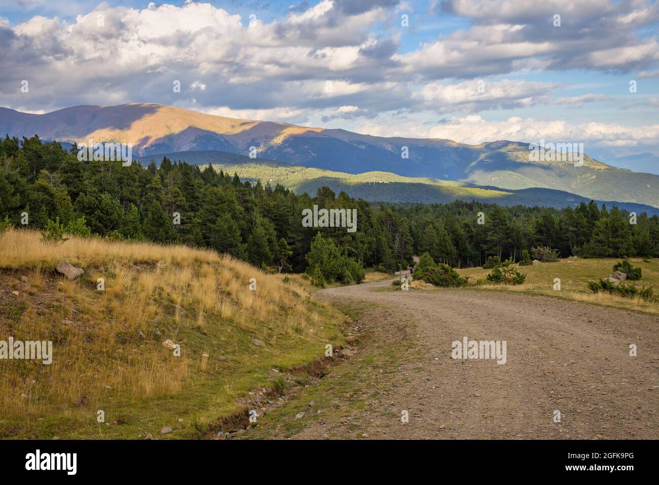 Sommerlandschaft mit Waldstraße in La Cerdanya, Pyrenäen, Katalonien, Spanien. Stockfoto