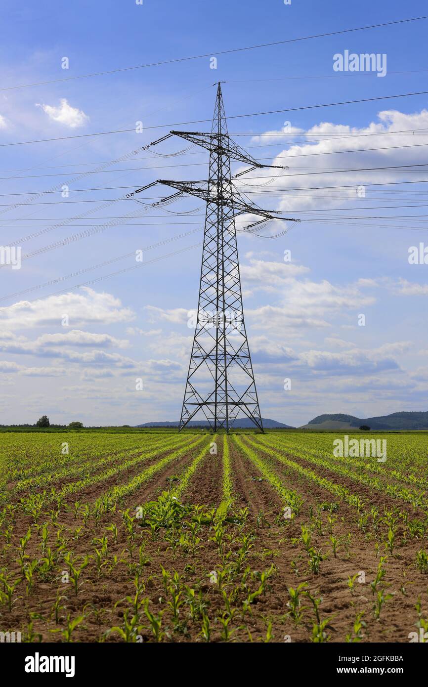 Strom mit Hochspannungsleitungen ( Donau Mast) zur Stromversorgung in einem Feld in Besigheim, Baden-Württemberg, Deutschland Stockfoto