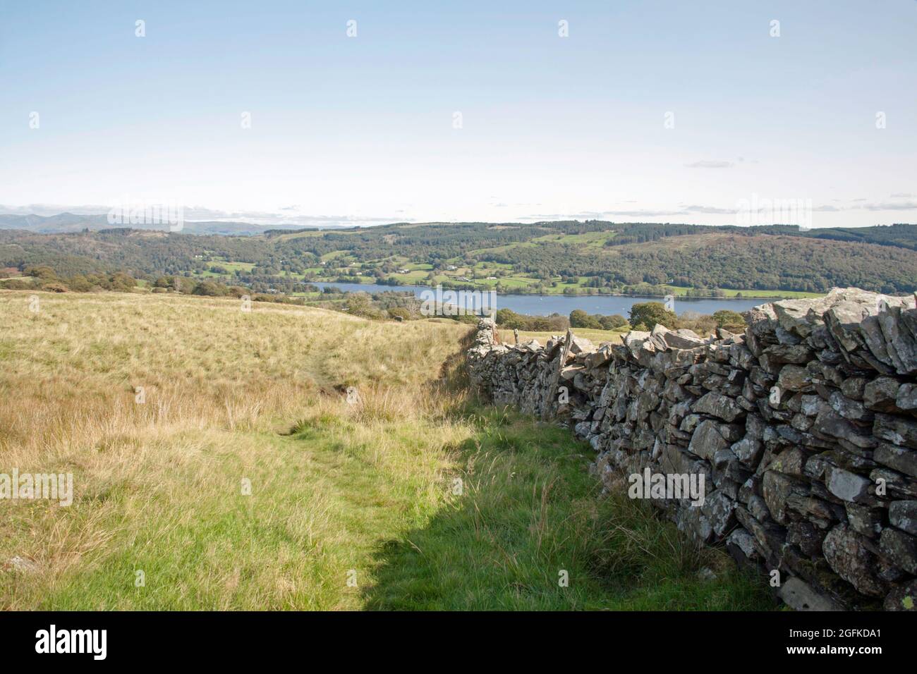 Coniston Wasser von oben gesehen Bleathwaite Weide Coniston Lake District Cumbria England Stockfoto