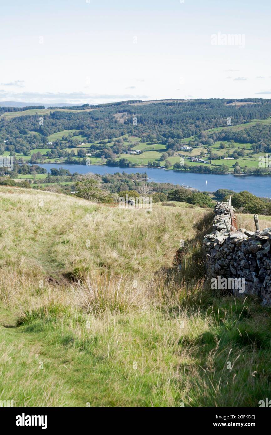 Coniston Wasser von oben gesehen Bleathwaite Weide Coniston Lake District Cumbria England Stockfoto