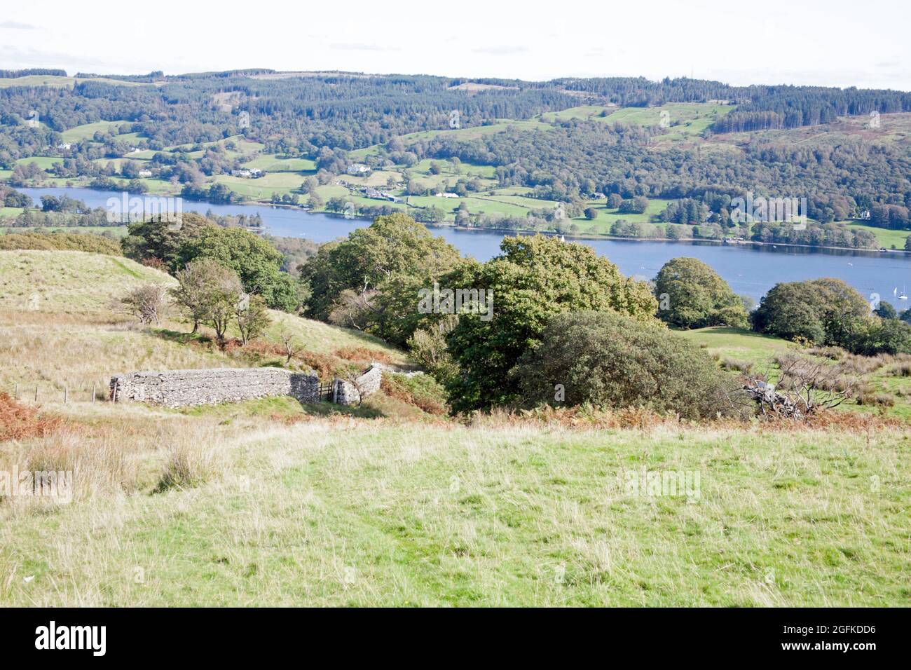 Coniston Wasser von oben gesehen Bleathwaite Weide Coniston Lake District Cumbria England Stockfoto