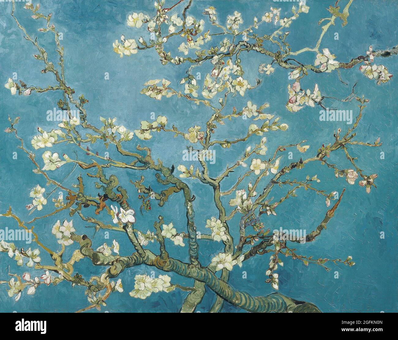 Vincent van Gogh – Mandelblüte (1890) berühmtes Gemälde. Stockfoto