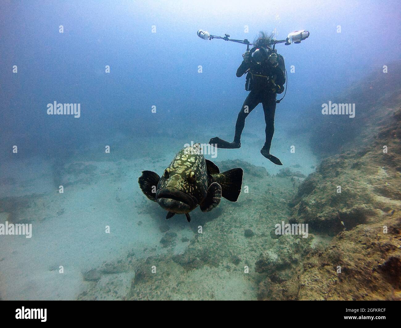 Unterwasserfotograf fotografieren Grouper-Fische, Antalya KaÅŸ Stockfoto