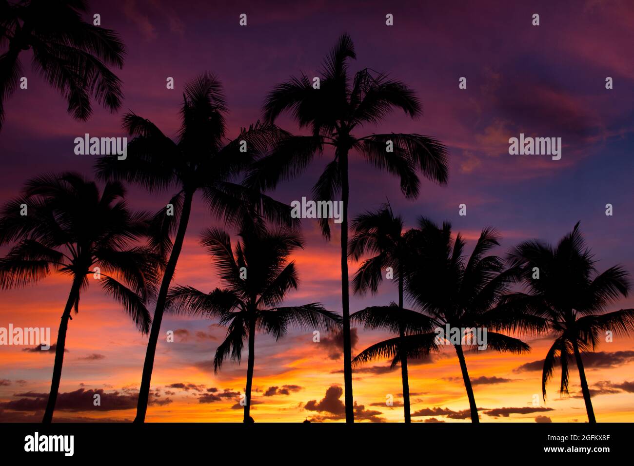 Regenbogen Hawaiian bewölkt Sonnenuntergang mit Palmen Silhouetten Stockfoto