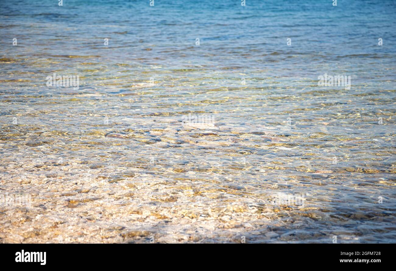 Felsiger Meeresboden und klares Wasser. Stockfoto