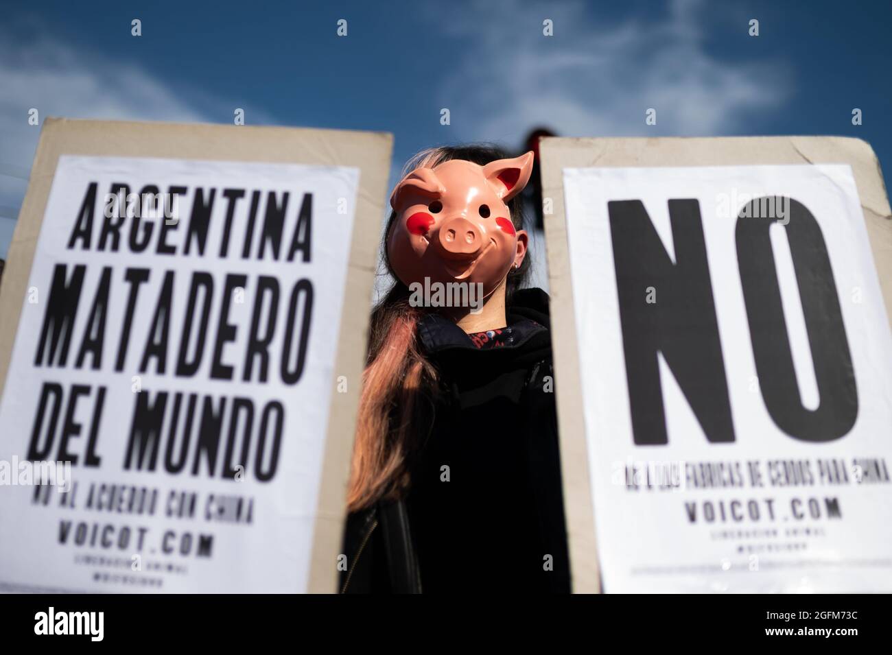 Buenos Aires, Argentinien. August 2021. Ein Protestler mit einer Schweinemaske hält zwei Zeichen, Eine, die "NEIN" sagt, und die andere trägt die Legende "Argentinien Schlachthof der Welt" während eines Protestes vor der chinesischen Botschaft in Argentinien.Linke politische Parteien und Umweltorganisationen protestieren vor der chinesischen Botschaft in Argentinien gegen das Abkommen über den Handel mit Schweinefleisch zwischen den beiden Ländern. In dem vorgeschlagen wird, Industriebetriebe für die Schweineproduktion zu installieren. Kredit: SOPA Images Limited/Alamy Live Nachrichten Stockfoto