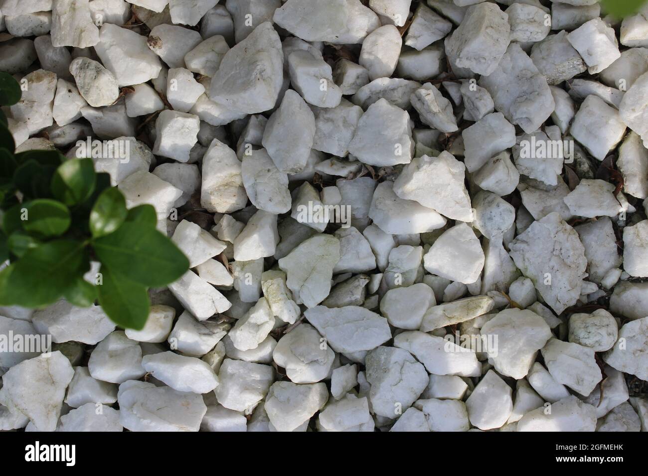 Das Leben selbst ist nicht die Realität. Wir sind es, die das Leben in Steine und Kieselsteine stecken. Stockfoto