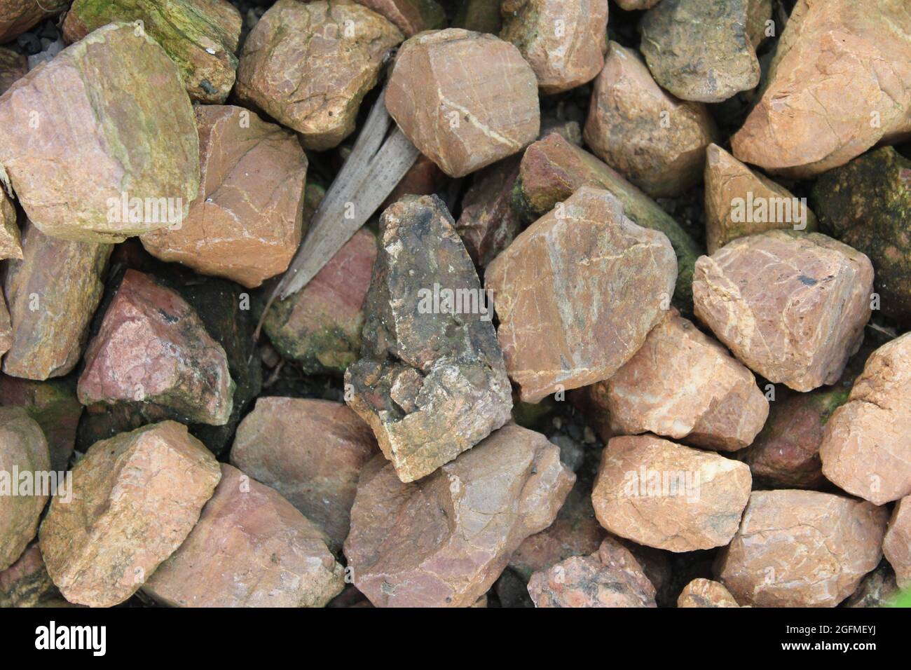 Das Leben selbst ist nicht die Realität. Wir sind es, die das Leben in Steine und Kieselsteine stecken. Stockfoto