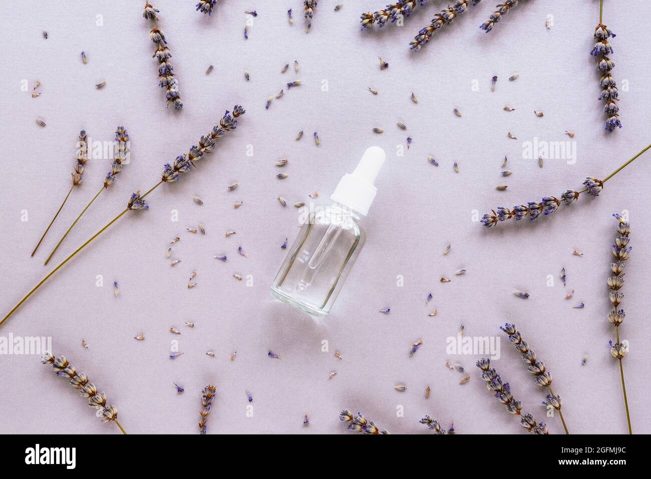 Flasche natürliche Hautpflege-Lotion und Lavendelblüten auf hellem lila Hintergrund. Draufsicht, flach liegend. Stockfoto