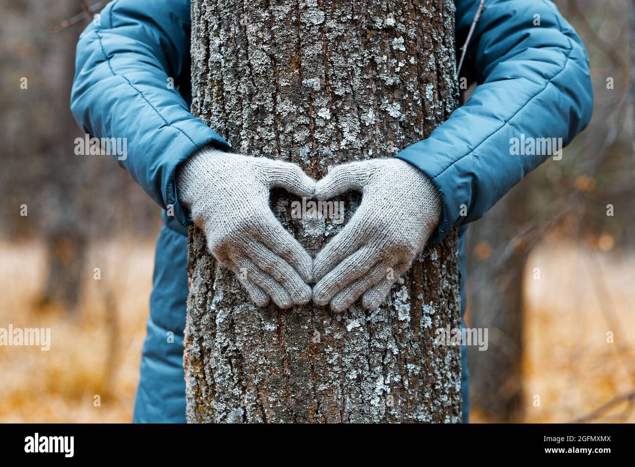 Die Hände der Frauen umarmen den Baum und machen ein Herzzeichen auf dem Baumstamm vor dem Hintergrund der verwischten Herbstnatur Stockfoto