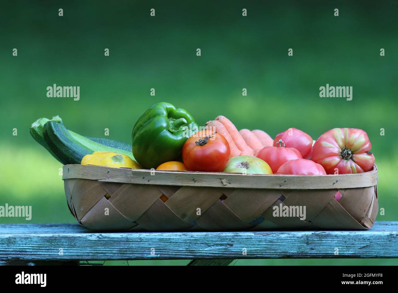 Ein Korb mit Bio-Gemüse, das im Sommer aus einem Hinterhof geerntet wird Stockfoto