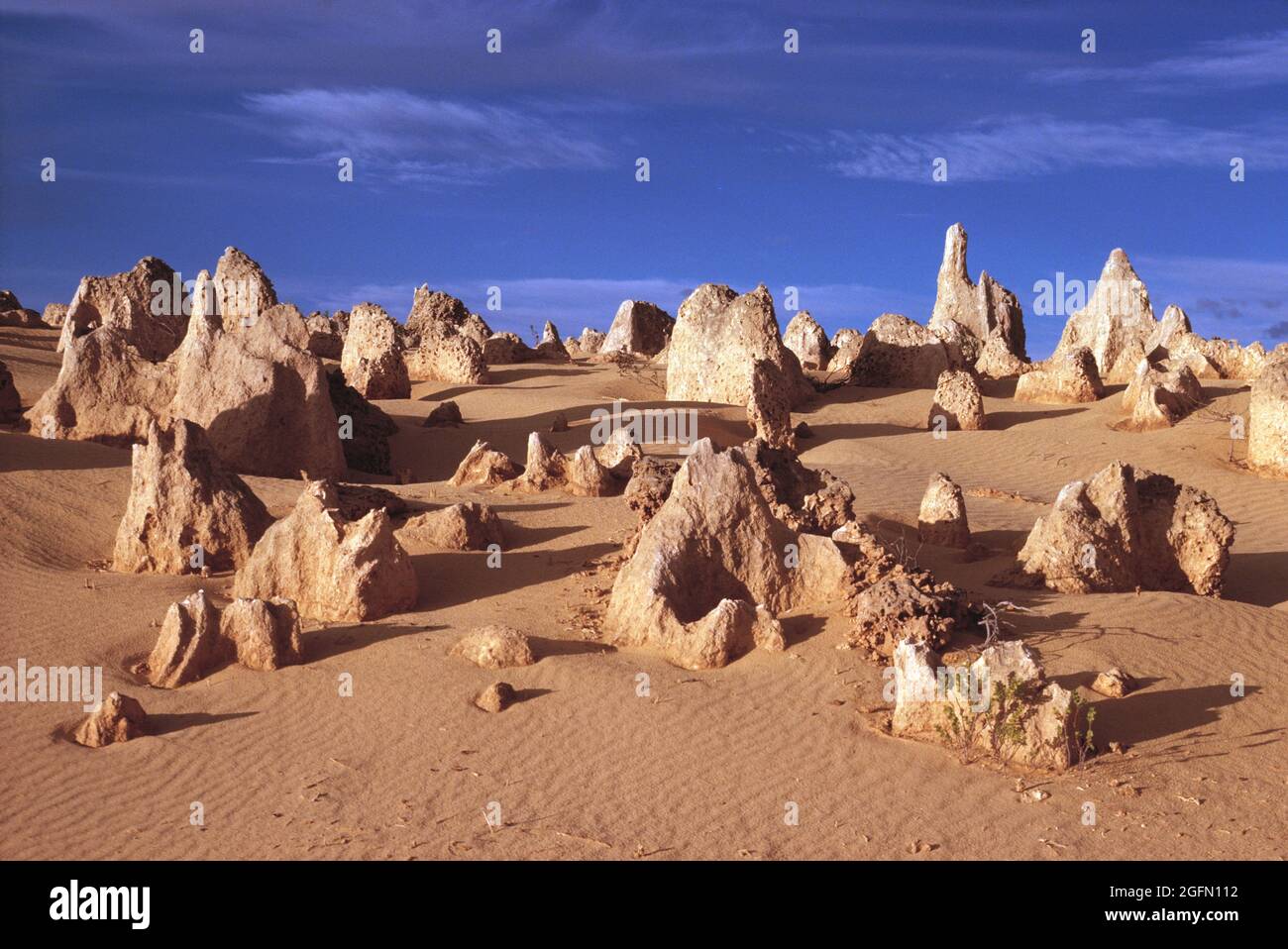 Western Australia. New Norcia-Region. Die Pinnacles Felsformationen. Stockfoto