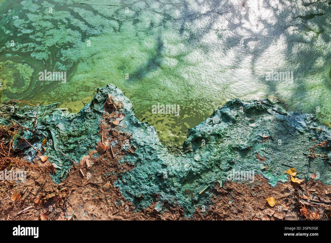 Strand verschmutzte Flüsse mit Industrieabfällen Stockfoto