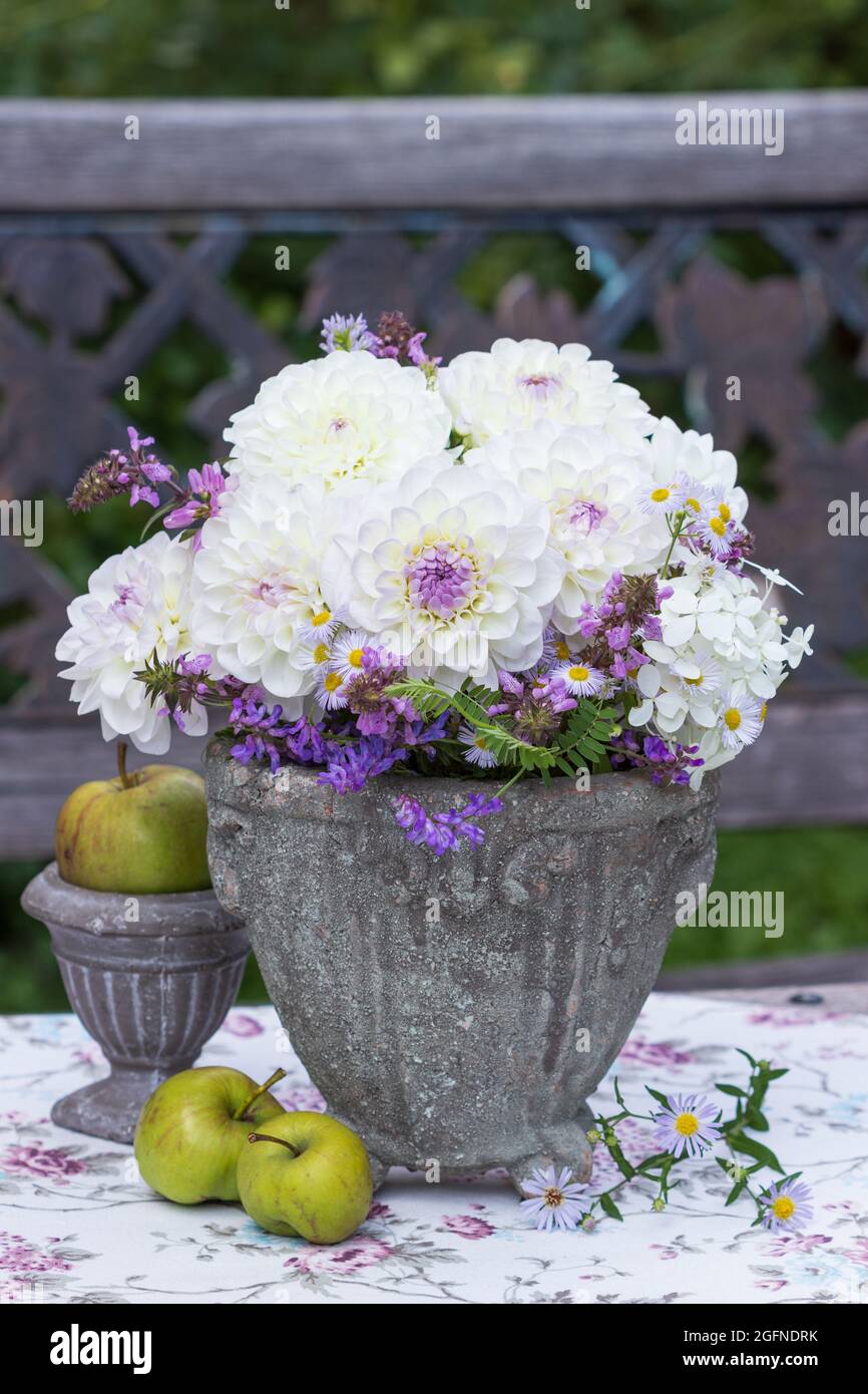 Dekoration mit weißen und violetten Dahlia-Blüten in Vintage-Vase Stockfoto