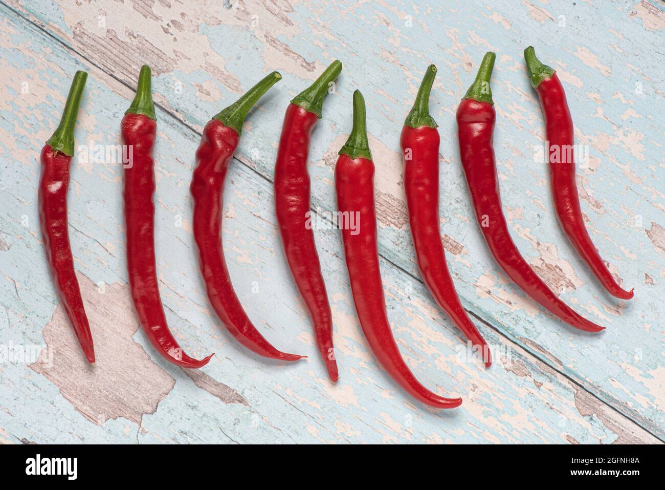 Roter Ring der Feuerchilis. Stockfoto