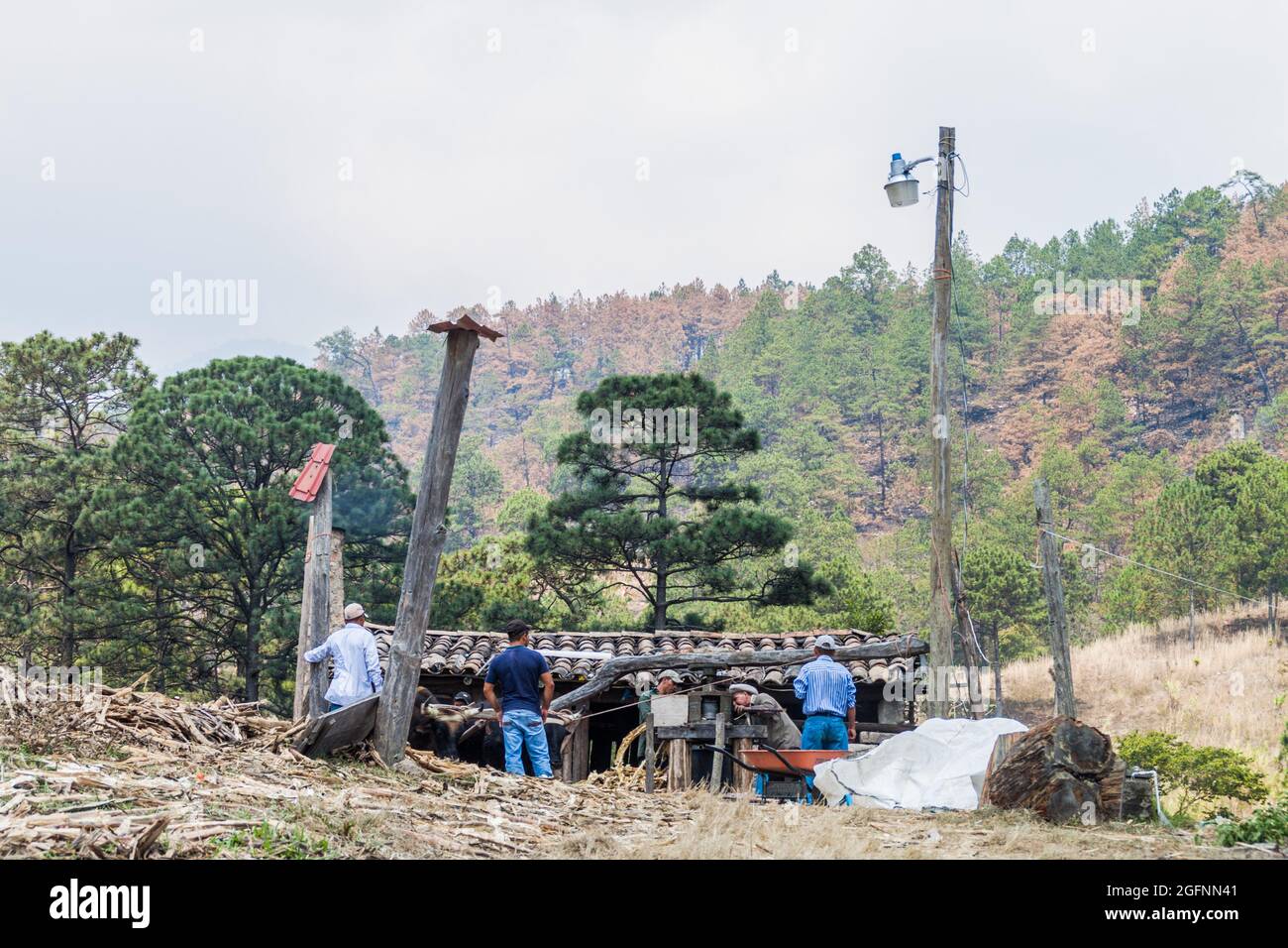 LA CAMPA, HONDURAS - 14. APRIL 2016: Kleine ländliche Siedlung mit einer tierbetriebenen Zuckerrohrpresse. Stockfoto