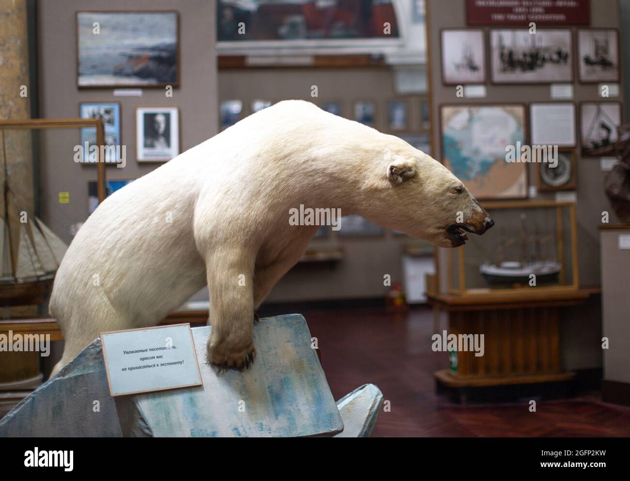 St. Petersburg, Museum of Arctic: The Russian Exploration XIX-XXI Stockfoto