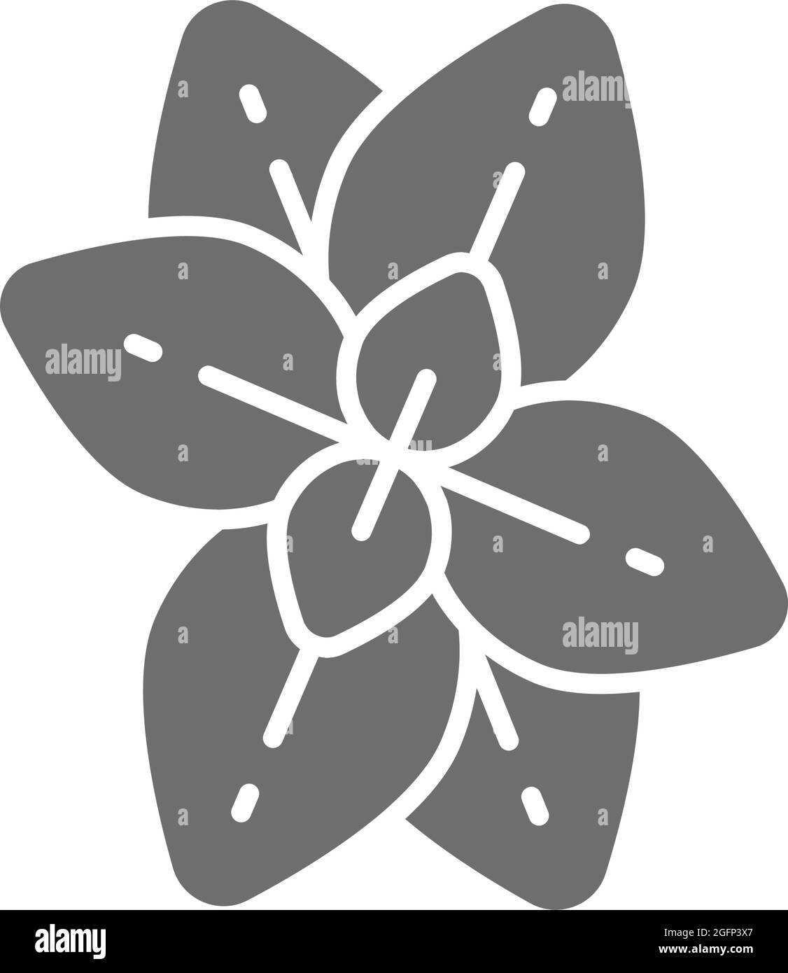 Oregano, mint, basilgrau Ikone. Isoliert auf weißem Hintergrund Stock Vektor