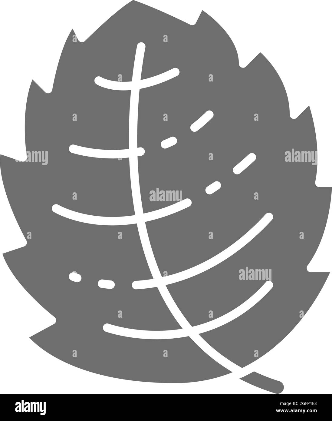 Minze, Salat, Basilikum, krautgraue Ikone. Isoliert auf weißem Hintergrund Stock Vektor