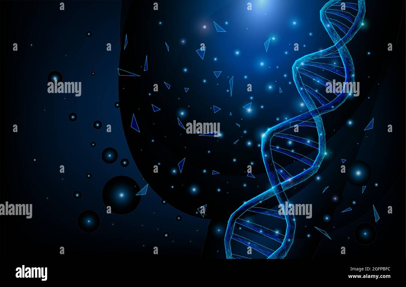 Drahtmodell DNA-Moleküle Struktur mesh Low Poly bestehend aus Punkten, Linien und Formen auf dunkelblauem Hintergrund. Wissenschaft und Technologie Konzept Stock Vektor