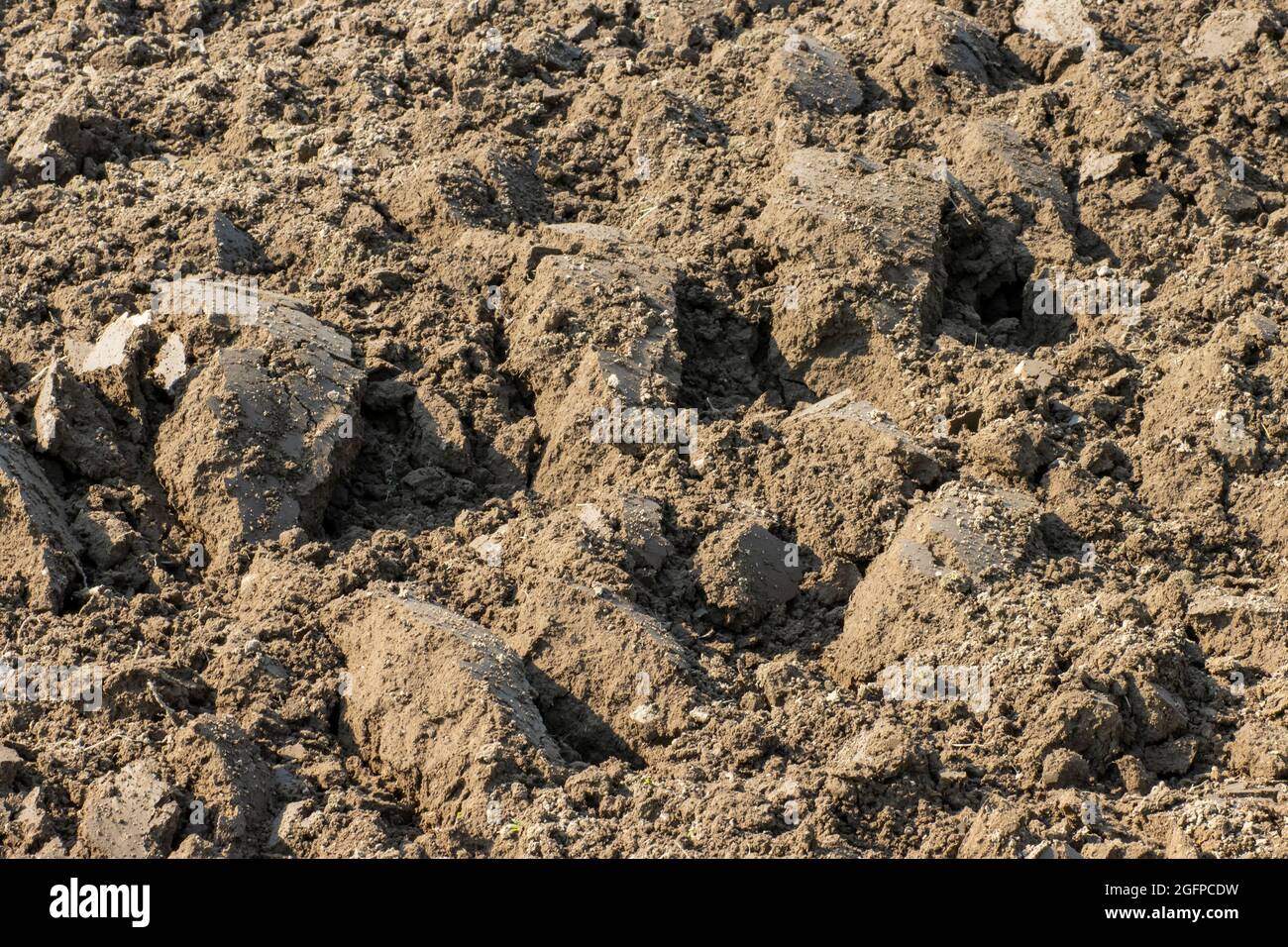 Gepflügte Erde im Frühjahr Nahaufnahme, landwirtschaftlicher Hintergrund. Stockfoto