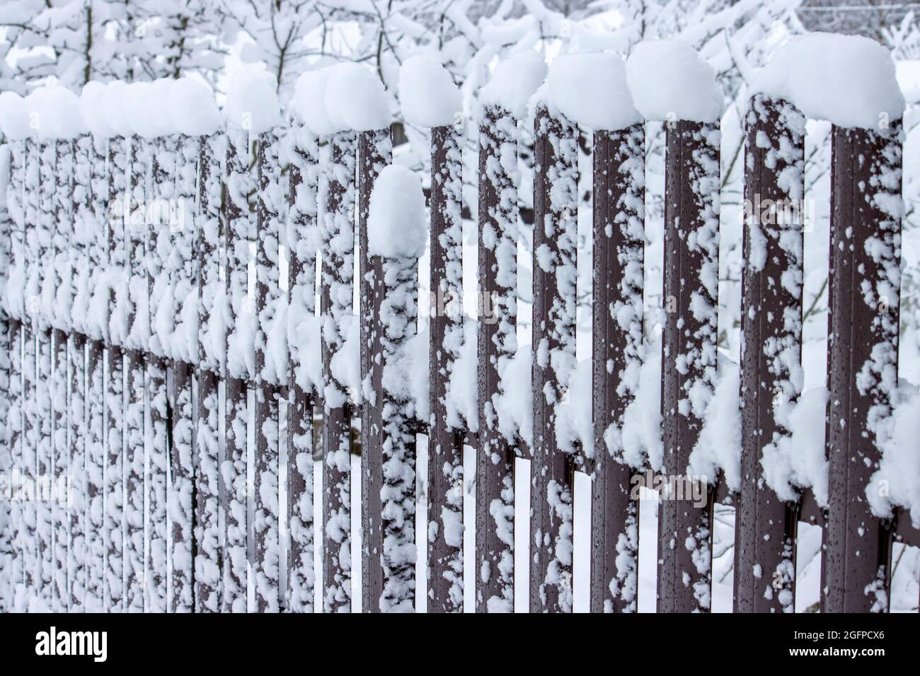 Eiserner brauner Zaun im Winter mit Schnee bedeckt. Stockfoto