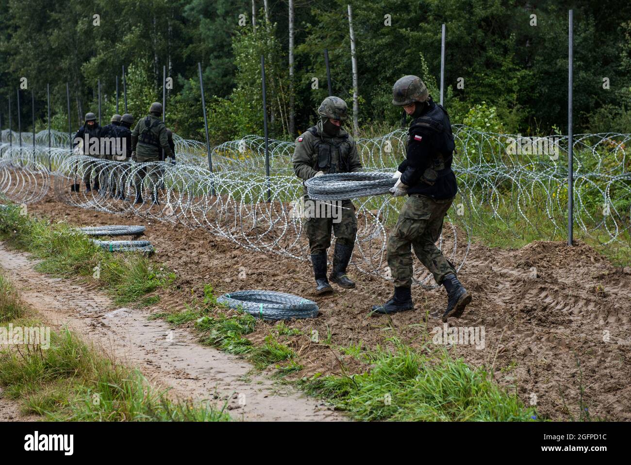 Zubrzyca Wielka, Polen. August 2021. An der Grenze zu Belarus bauen polnische Soldaten einen Zaun.die polnische Armee baut an ihrer Grenze und an der EU-Grenze einen 2.5 Meter hohen Stacheldrahtzaun, um den jüngsten Anstieg illegaler Grenzübergänge, hauptsächlich durch Menschen aus dem Irak und Afghanistan, zu stoppen. Warschau und Brüssel haben Minsk vorgeworfen, die Durchreise von Migranten in die Europäische Union absichtlich zu erleichtern. Kredit: SOPA Images Limited/Alamy Live Nachrichten Stockfoto