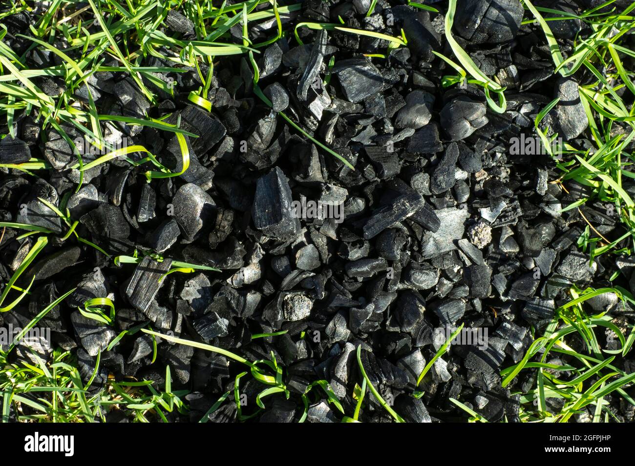 Schwarze Kohlen eines verbrannten Feuers auf grünem Gras, Revival-Konzept. Stockfoto