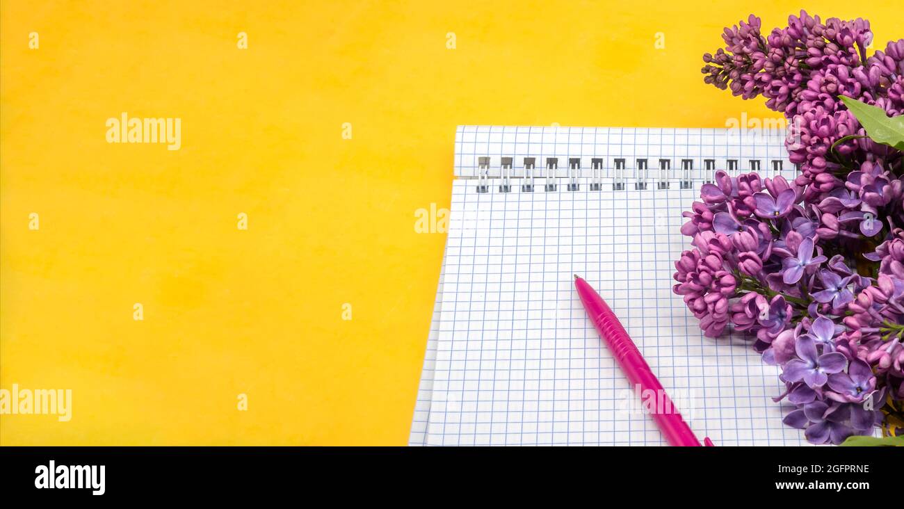 Notebook-Flieder auf gelbem Hintergrund. Spiralnotizbuch und Stift. Notizblock mit Stift und Blumen. Stockfoto